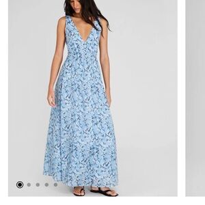 Club Monaco sleeveless organza maxi dress